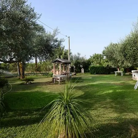 Aranceto سيراكوزا