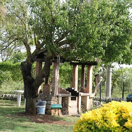 Aranceto